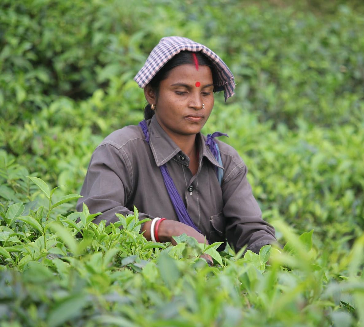 Woman in Black Leather Jacket Standing in Green Plants